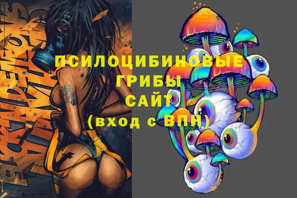 ГАЛЛЮЦИНОГЕННЫЕ ГРИБЫ Абинск